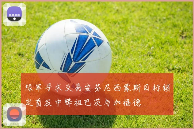 绿军寻求交易安芬尼西蒙斯目标锁定首发中锋祖巴茨与加福德