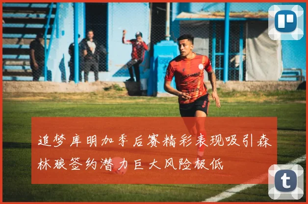 追梦库明加季后赛精彩表现吸引森林狼签约潜力巨大风险极低